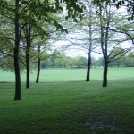 Parque de Londres no verão