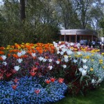 Primavera em Londres