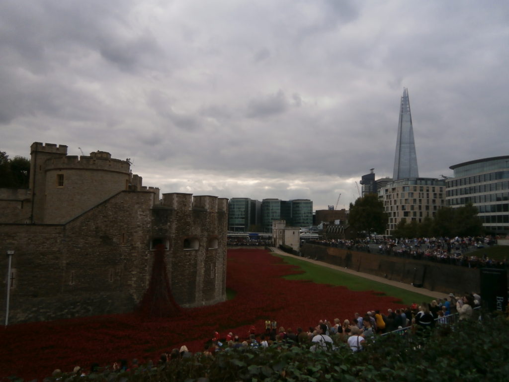Poppies Torre de Londres